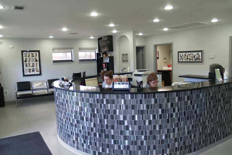 veterinarian near me