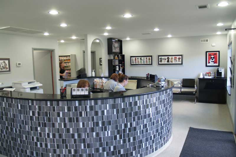 veterinarian Waldorf