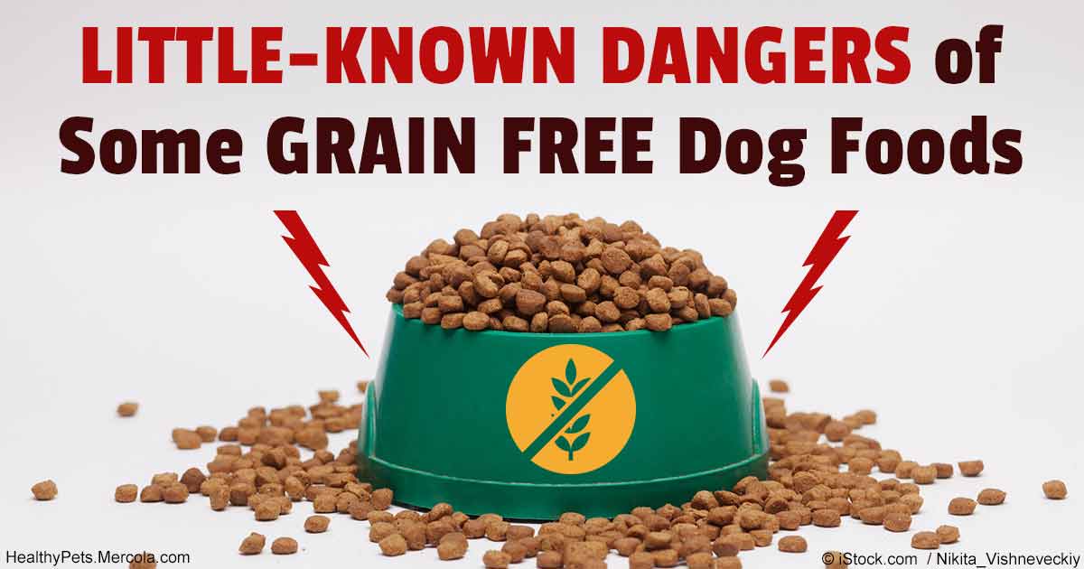 Grain Free Dry Dog Food
