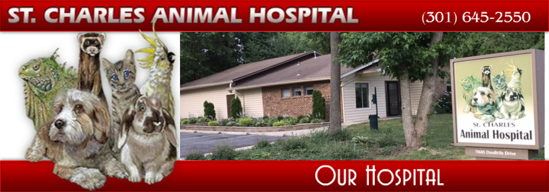 Veterinary Care by Saint Charles Animal Hospital